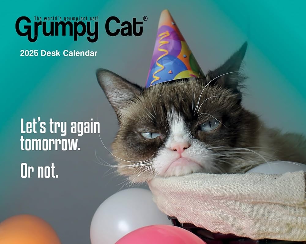 2025 Grumpy Cat Boxed Calendar Plastic Free Packaging Calendars Carousel 9781645915942 Amazon Books