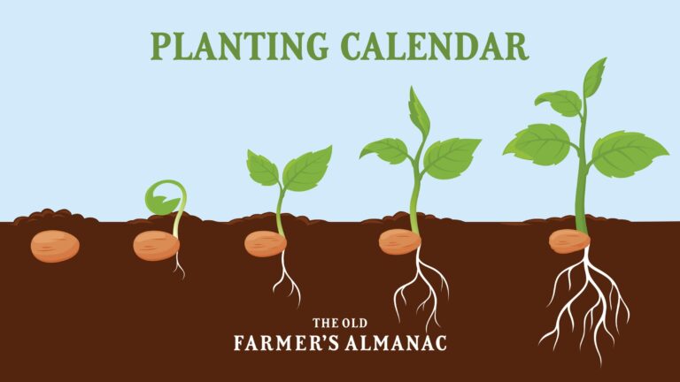 2025 Planting Calendar By Zip Code The Old Farmer s Almanac Almanac