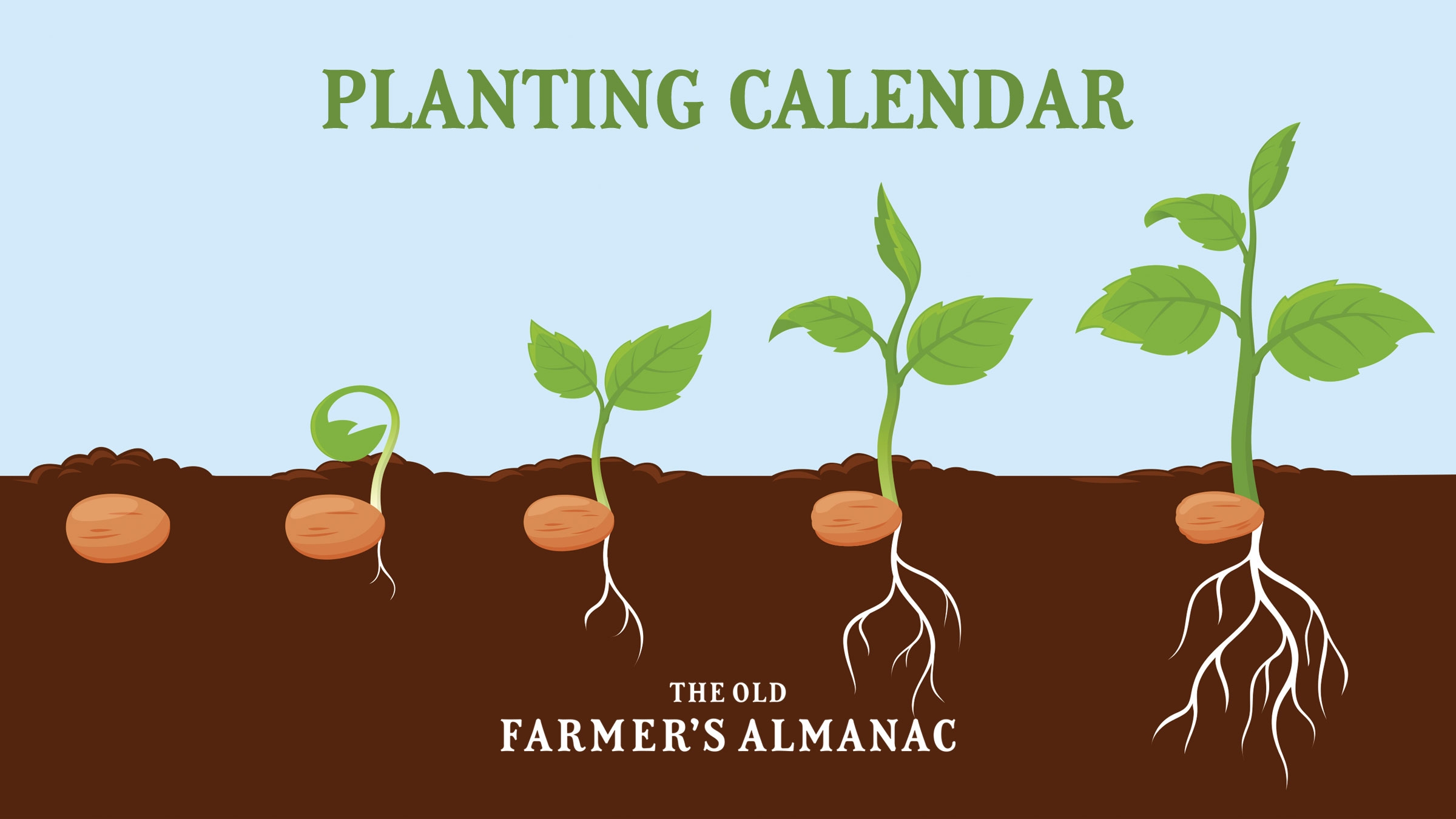 2025 Planting Calendar By Zip Code The Old Farmer s Almanac Almanac