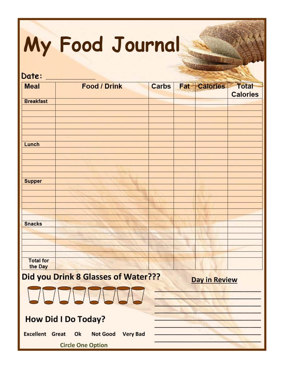30 Beautiful Food Journal Templates TemplateArchive