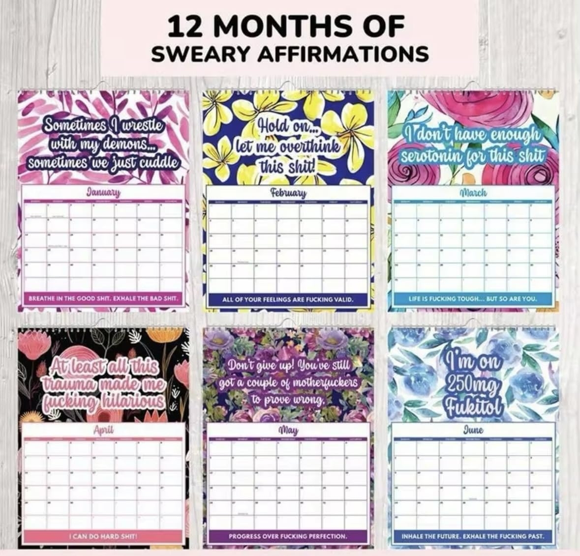 Amazon 2025 Sweary Mental Health Calendar One Day At A Fucking Time Floral Design Office Products