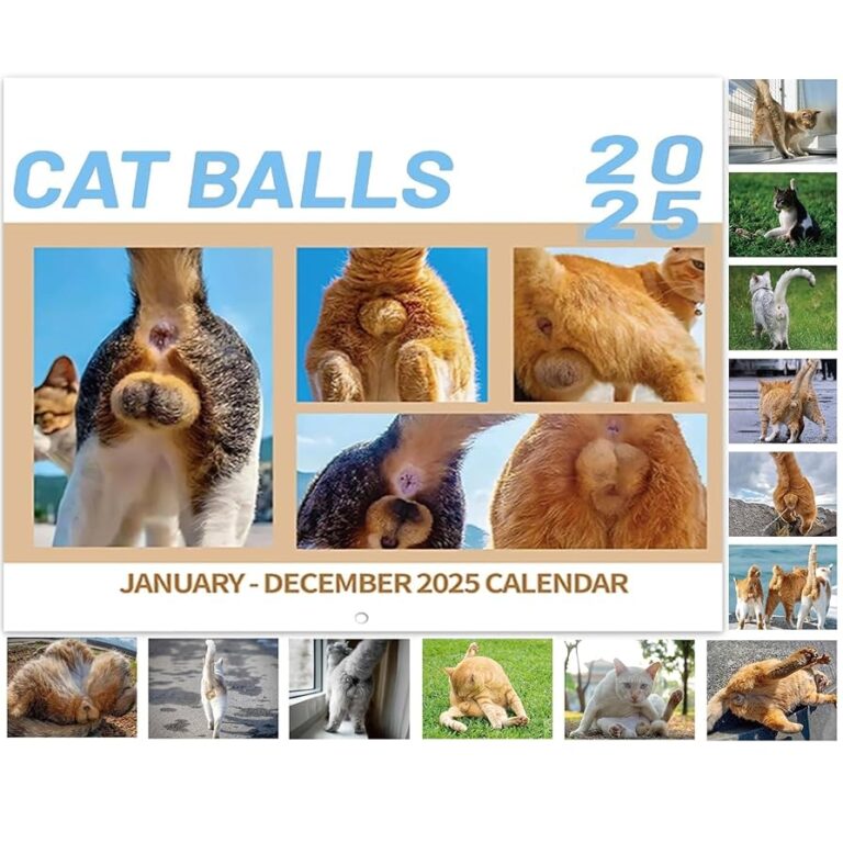 Amazon 2025 Wall Calendar Funny Calendar 2025 With Cat s Balls Jan 2025 Dec 2025 12 X 24 Open White Elephant Gifts Funny Gag Gift Calendar 2025 Glossy Paper Office Products
