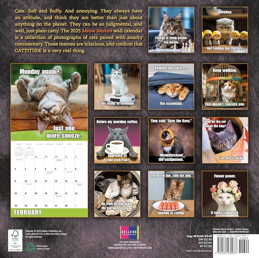 Amazon Meow Memes 2025 Wall Calendar 16 Month Cat Calendar 12 X 12 Office Products