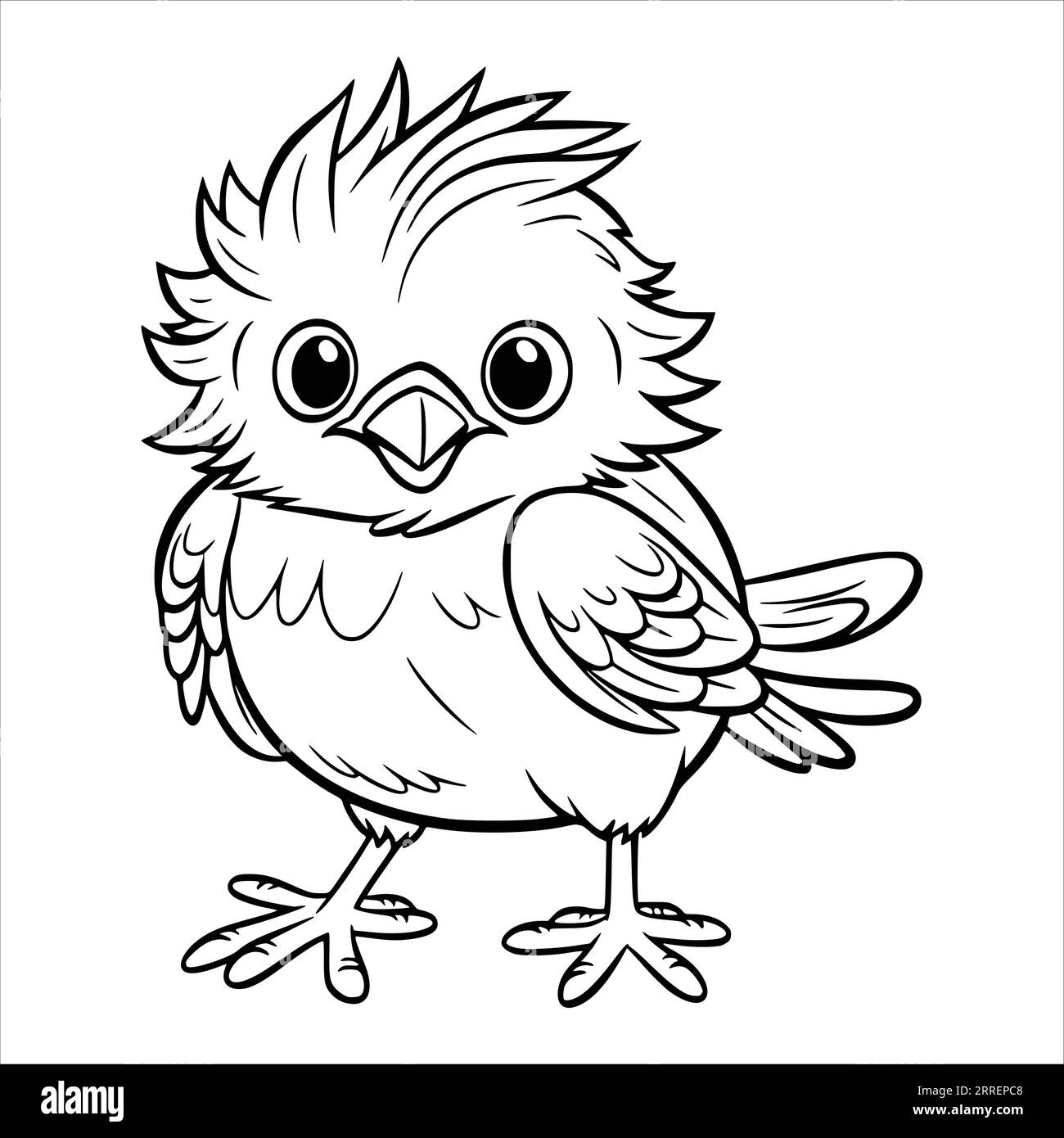 birds coloring pages pdf