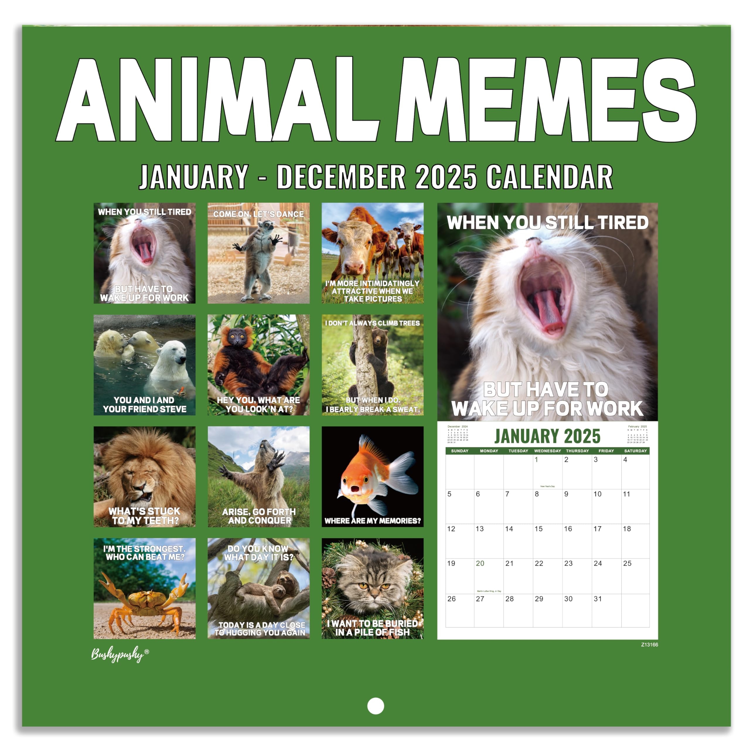 Bushypushy 2025 Wall Calendar Funny Calendar 2025 With Animal Memes Jan 2025 Dec 2025 12 X 24 Open Calendar For Kids Teen Unruled Blocks Thick Paper Buy Online At Best