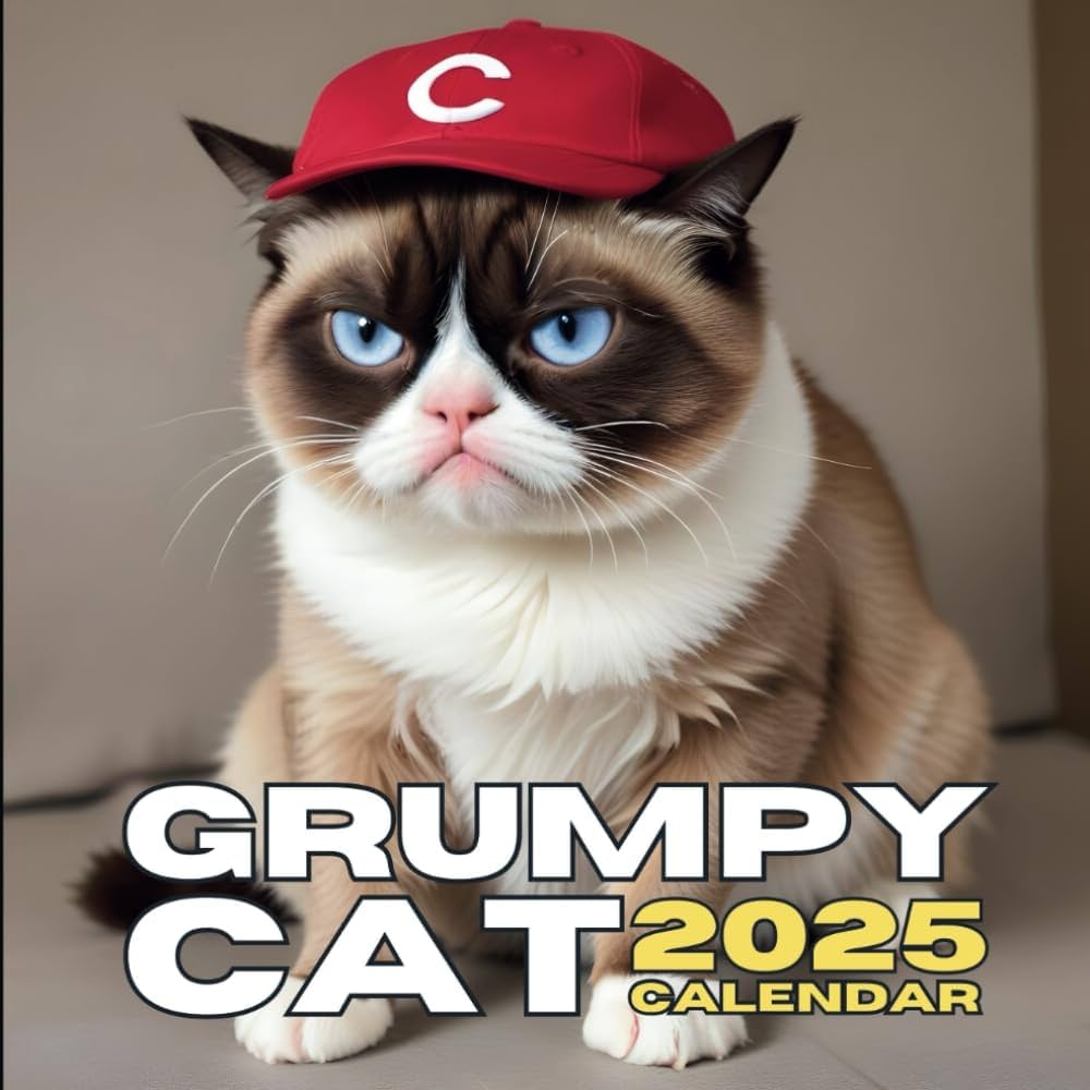 Grumpy cat calendar 2025