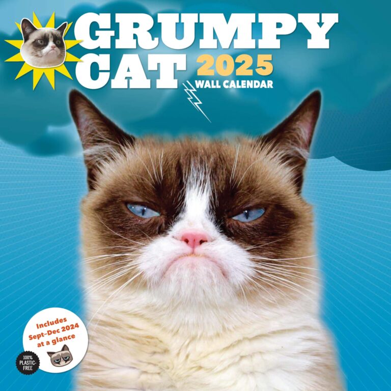Grumpy Cat 2025 Wall Calendar Cat Grumpy 9781797229959 Amazon Books
