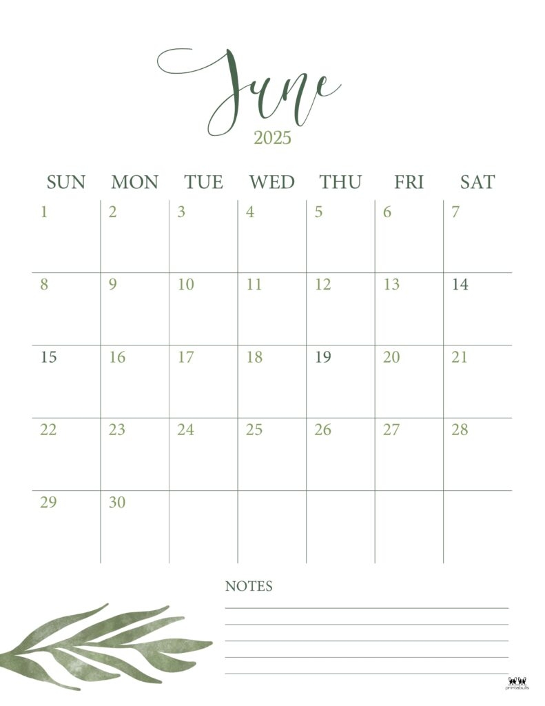 June 2025 Calendar with notes