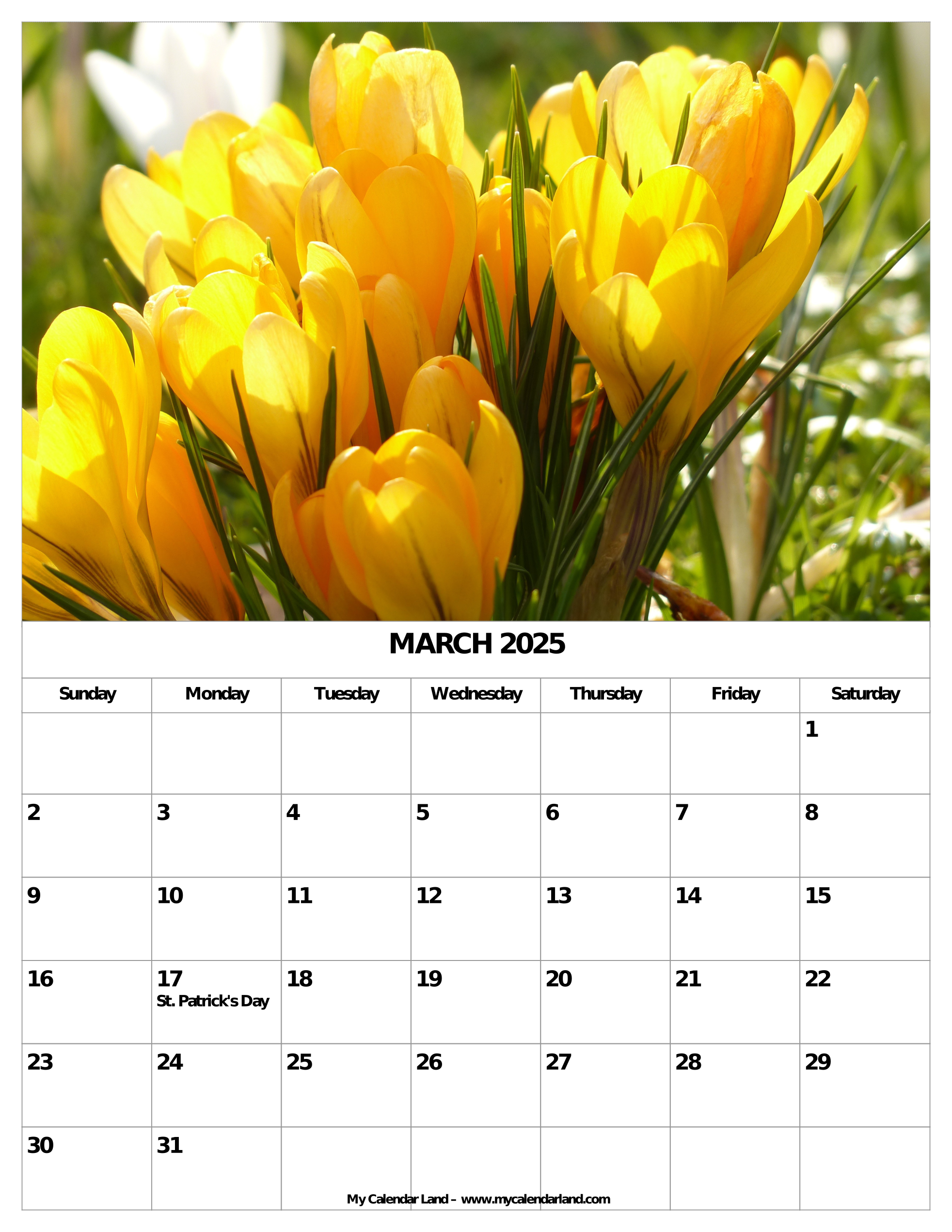 March 2025 Calendar My Calendar Land