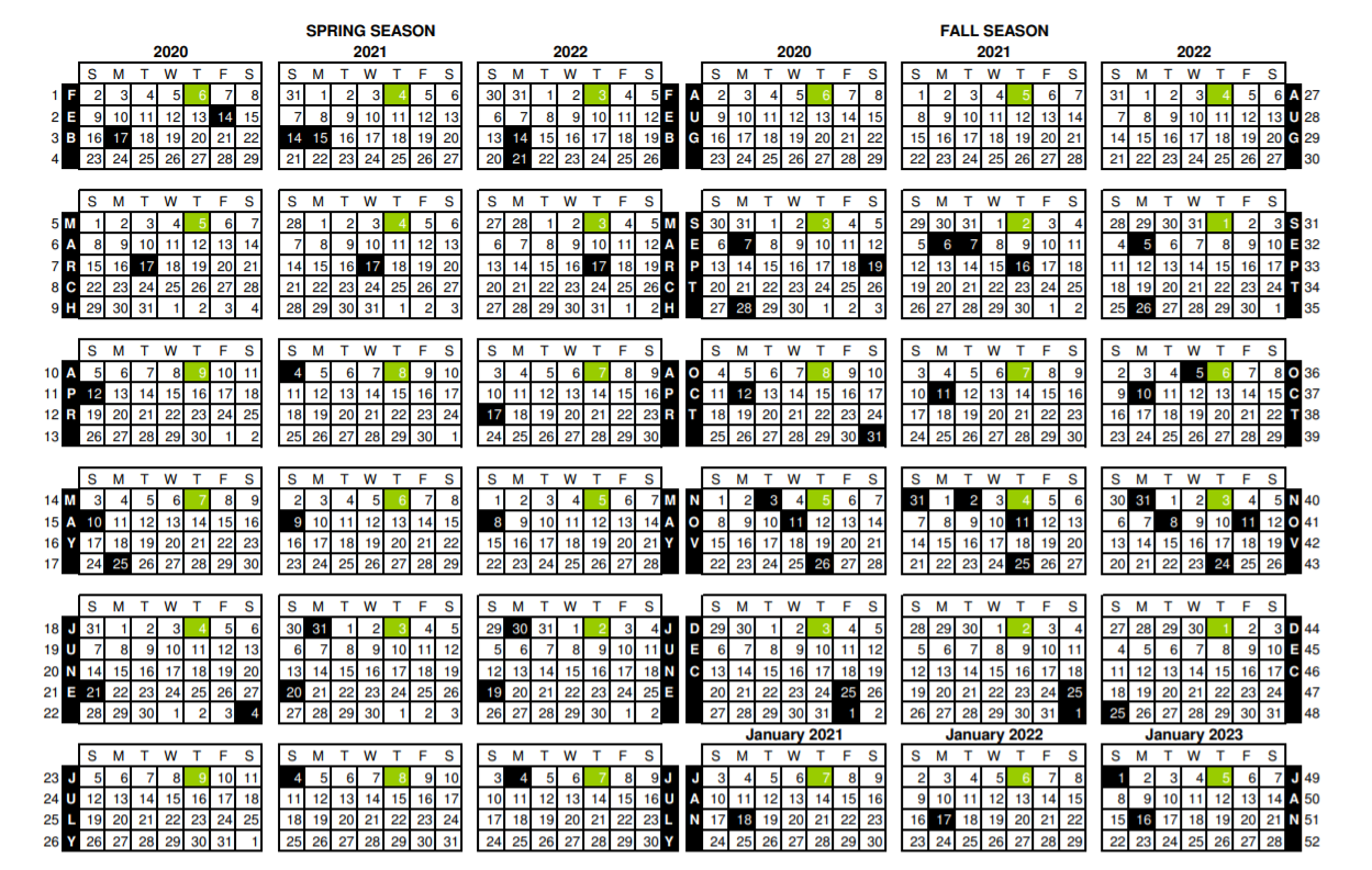 2025 retail calendar (454)