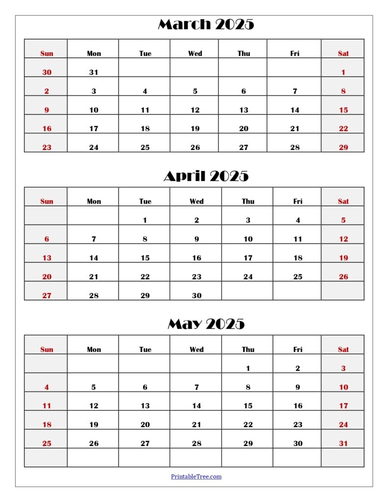 Three Months Calendar Printable PDF 2024 2025