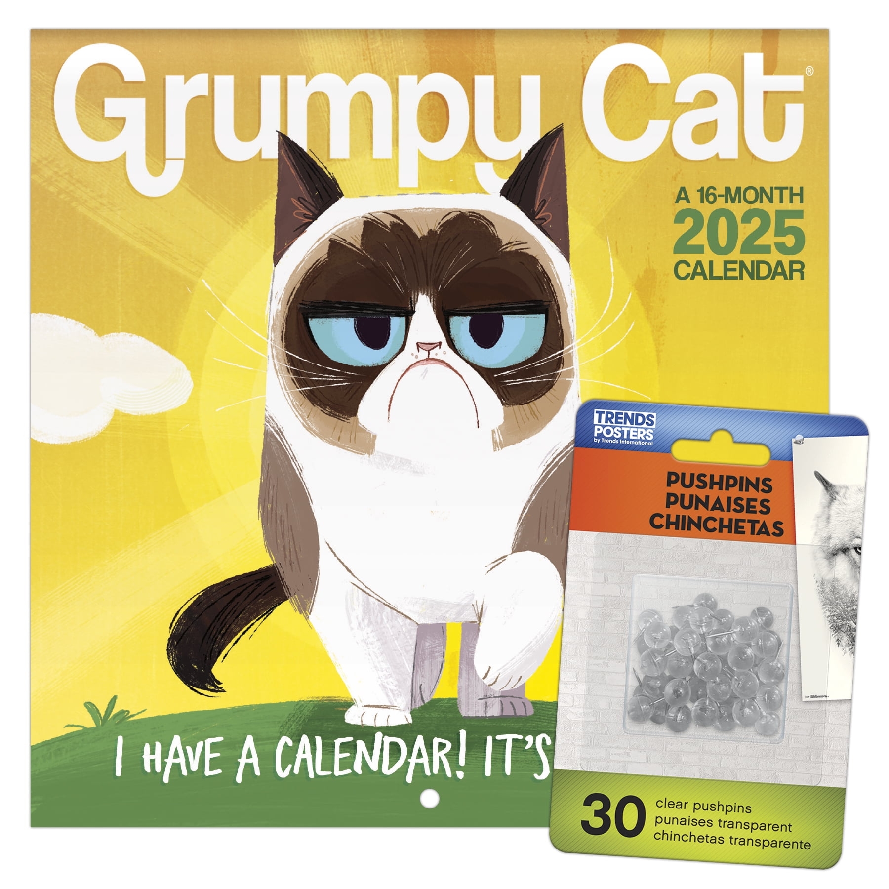 Trends International 2025 Grumpy Cat Mini Wall Calendar Walmart